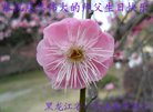 ֹ,󷨵ӹ編ִʦ𻪵(23)