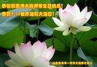 ֹ,ൺ󷨵ӹ編ִʦ𻪵(24)