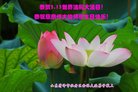 ֹ,ɽ󷨵ӹ編ִʦ𻪵(18)
