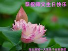 ֹ,󷨵ӹ編ִʦ𻪵(19)