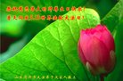 ֹ,ɽ󷨵ӹ編ִʦ𻪵(18)