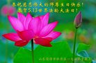 ֹ,ɽ󷨵ӹ編ִʦ𻪵(18)