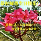 ֹ,󷨵ӹ編ִʦ𻪵(23)