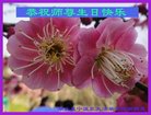 ֹ,󷨵ӹ編ִʦ𻪵(22)