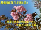 ֹ,󷨵ӹ編ִʦ𻪵(23)