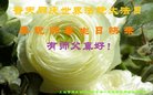 ֹ,Ϻ󷨵ӹ編ִʦ𻪵(23)