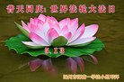 ֹ,ӱ󷨵ӹ編ִʦ𻪵(25)