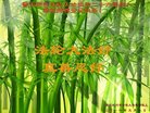 ֹ,ൺ󷨵ӹ編ִʦ𻪵(20)