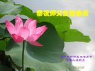 ֹ,ɶ󷨵ӹ編ִʦ𻪵(23)