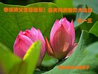 ֹ,ӱ󷨵ӹ編ִʦ𻪵(25)