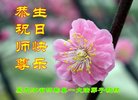 ֹ,󷨵ӹ編ִʦ𻪵(23)