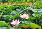 ֹ,󷨵ӹ編ִʦ𻪵(21)