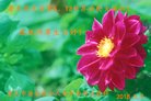 ֹ,󷨵ӹ編ִʦ𻪵(21)