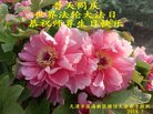 ֹ,󷨵ӹ編ִʦ𻪵(26)