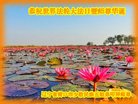 ֹ,󷨵ӹ編ִʦ𻪵(23)