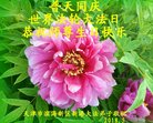 ֹ,󷨵ӹ編ִʦ𻪵(26)