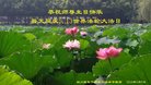 ֹ,Ĵ󷨵ӹ編ִʦ𻪵(25)
