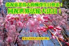 ֹ,󷨵ӹ編ִʦ𻪵(21)