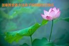 ֹ,ϴ󷨵ӹ編ִʦ𻪵(24)