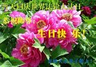 ֹ,ʡ󷨵ӹ編ִʦ𻪵(25)