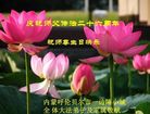 ֹ,ɹŴ󷨵ӹ編ִʦ𻪵(22)