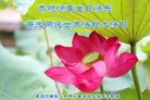 ֹ,󷨵ӹ編ִʦ𻪵(27)