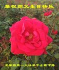 ֹ,մ󷨵ӹ編ִʦ𻪵(21)