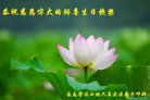 ֹ,󷨵ӹ編ִʦ𻪵(22)