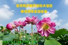 ֹ,󷨵ӹ編ִʦ𻪵(26)