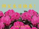 ֹ,󷨵ӹ編ִʦ𻪵(24)