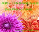 ֹ,󷨵ӹ編ִʦ𻪵(25)