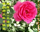 ֹ,ʯׯ󷨵ӹ編ִʦ𻪵(20)