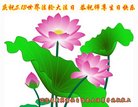 ֹ,󷨵ӹ編ִʦ𻪵(18)