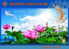 法轮功,大连大法弟子恭贺世界法轮大法日暨师尊华诞(24条)
