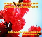 ֹ,ൺ󷨵ӹ編ִʦ𻪵(24)