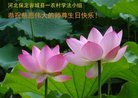 法轮功,保定大法弟子恭贺世界法轮大法日暨师尊华诞(25条)