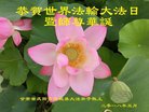 ֹ,󷨵ӹ編ִʦ𻪵(22)