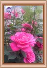 ֹ,ʯׯ󷨵ӹ編ִʦ𻪵(20)