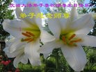 ֹ,󷨵ӹ編ִʦ𻪵(23)