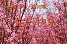 ֹ,żҿڴ󷨵ӹ編ִʦ𻪵(20)