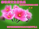 ֹ,ʡ󷨵ӹ編ִʦ𻪵(25)