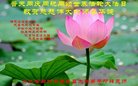 ֹ,ȷ󷨵ӹ編ִʦ𻪵(22)