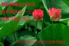 ֹ,ȷ󷨵ӹ編ִʦ𻪵(22)