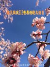 ֹ,󷨵ӹ編ִʦ𻪵(27)