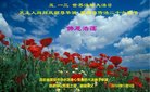 法轮功,保定大法弟子恭贺世界法轮大法日暨师尊华诞(21条)