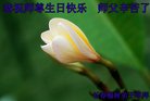 ֹ,󷨵ӹ編ִʦ𻪵(22)