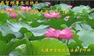 ֹ,󷨵ӹ編ִʦ𻪵(24)