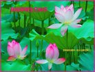 ֹ,ʡ󷨵ӹ編ִʦ𻪵(25)