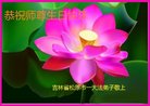 ֹ,ʡ󷨵ӹ編ִʦ𻪵(25)