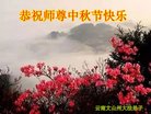 ֹ,ϴ󷨵ӹףʦ(22)